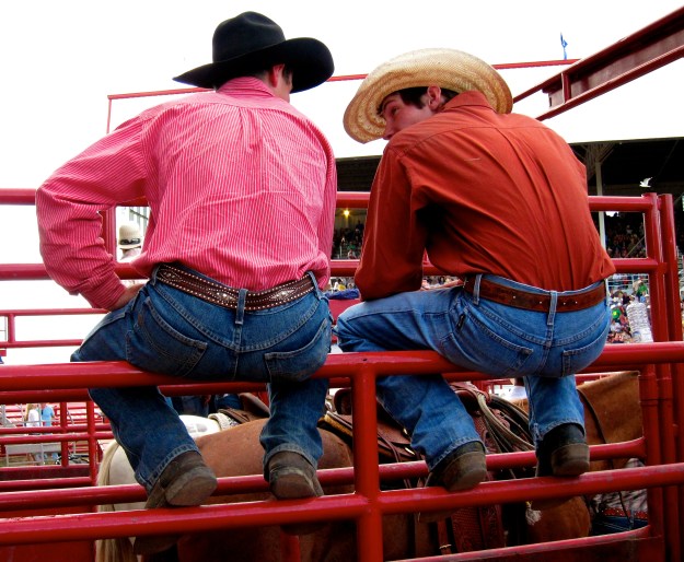 It's rodeo time at the Calgary Stampede