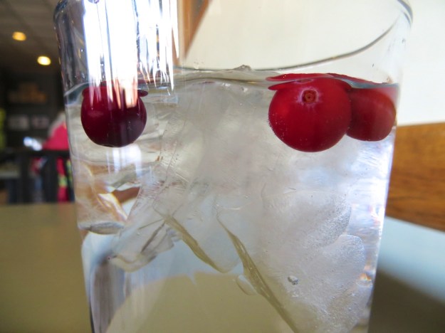 A nice touch of floating cranberries in the ice water