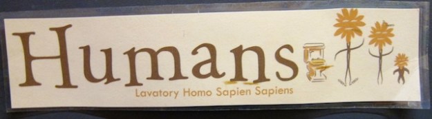 I guess this place doesn't like dogs lapping from the bowl