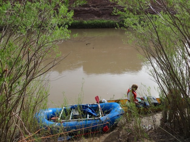 A break in the tamarisk to beach our boats