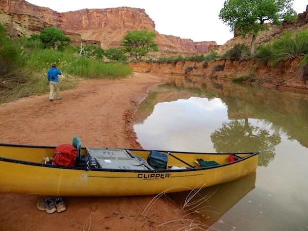 Morning hike from a backwater camp