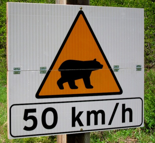 Didn't know they could run that fast