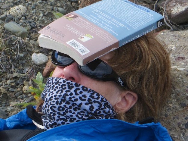 There's nothing like a good summer book, even if it's reading by osmosis