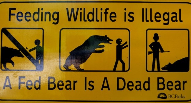 Bear sign near Sooke, B.C.