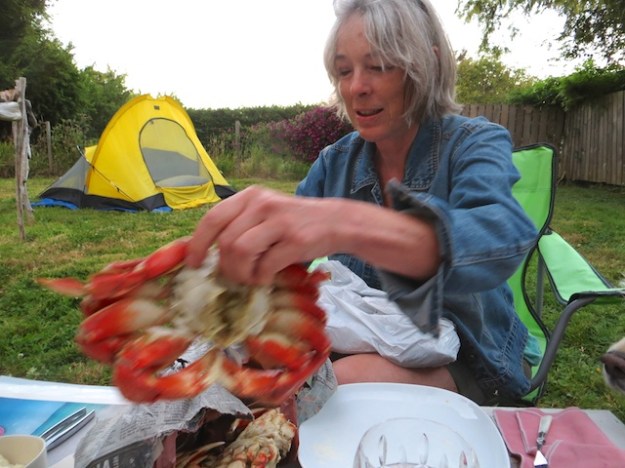 Fresh from the ocean crab in Saanich, B.C.