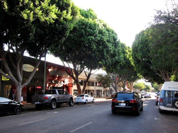 Lovely, tree-lined Higuera Street in San Luis, Obispo, California
