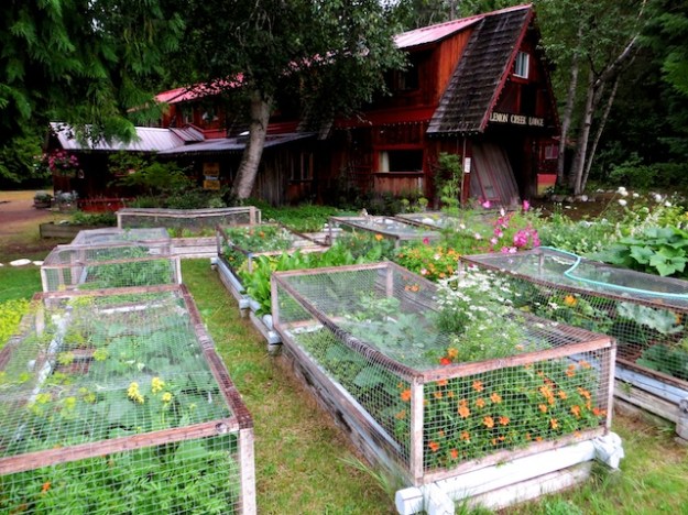 The salad fixings are grown right out front at Slocan B.C.'s charming Lemon Creek Lodge