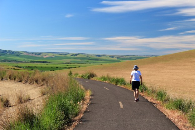 The Walla Walla Valley is in the midst of gorgeous farm country
