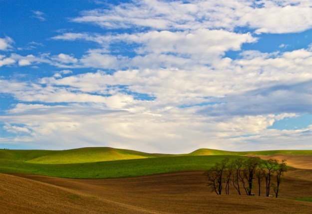 The fabulous Palouse Hills, just north of Pullman, Washington