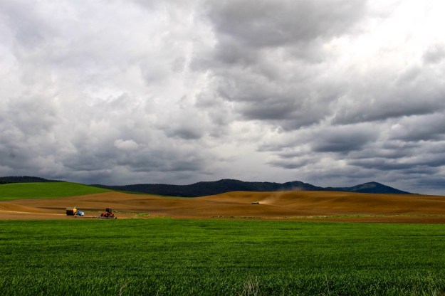 Palouse Hills