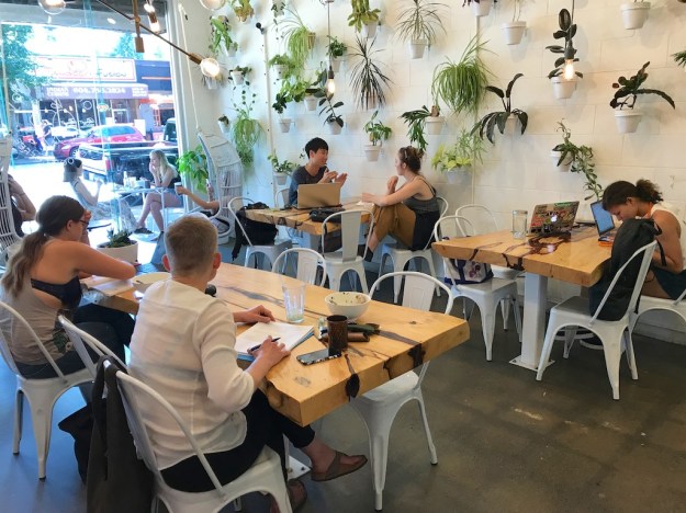 B.C. West Coast July 2018 24