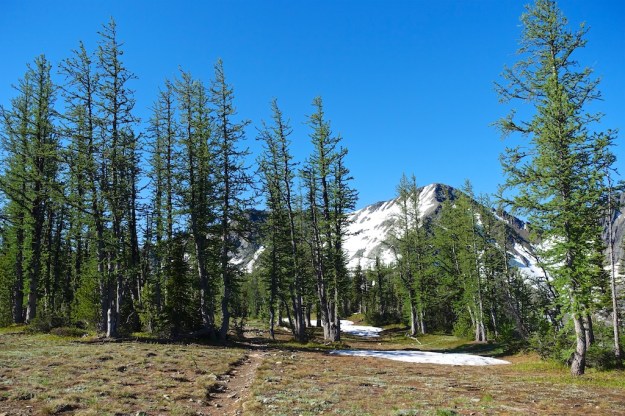 B.C. West Coast July 2018 29