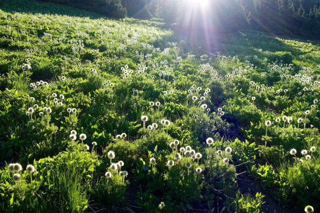 B.C. West Coast July 2018 68