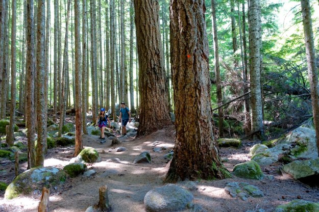 B.C. West Coast July 2018 72