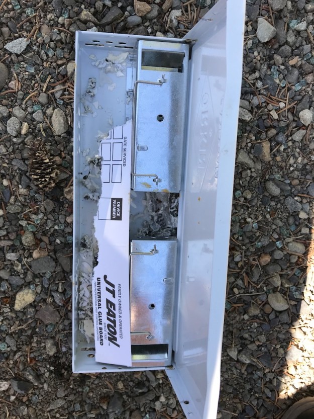 B.C. West Coast July 2018 8