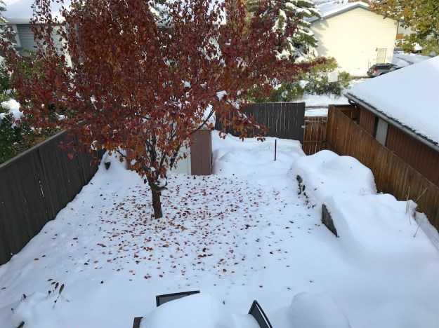 Vancouver Island (1)