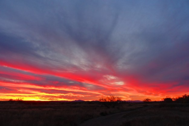 Southeast Arizona 158