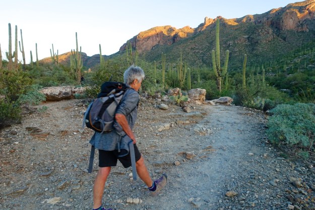 Southeast Arizona 64